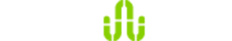 siddiquischoolmart.com